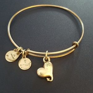 Alex and Ani Heary bracelet